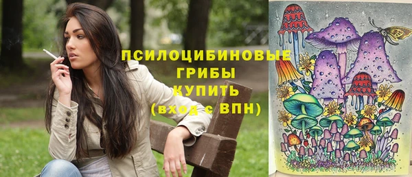 mix Арсеньев