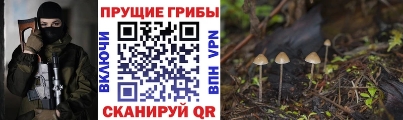Псилоцибиновые грибы Magic Shrooms купить ОМГ ОМГ ссылка Кировск